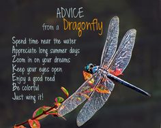 a dragonfly sitting on top of a plant next to a poem