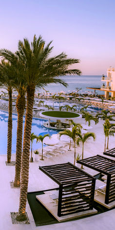 an outdoor swimming pool with lounge chairs and palm trees