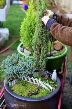 Plant Organization, Indoor Plant Garden, Garden Therapy, Planting Tips, Flower Pot Design, Miniature Gardens