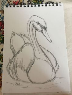 a drawing of a swan sitting on top of a table