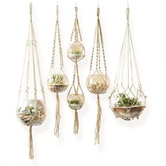 four hanging planters with plants in them and one is filled with sand, the other has succulents