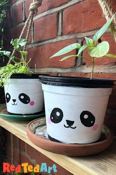 two potted plants with panda faces painted on them sitting on a shelf next to a brick wall