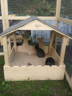 two rabbits in a small wooden house