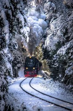 a train traveling through a snow covered forest next to trees and tracks with steam pouring out of it