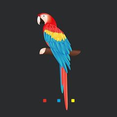 a colorful parrot sitting on top of a tree branch in front of a black background