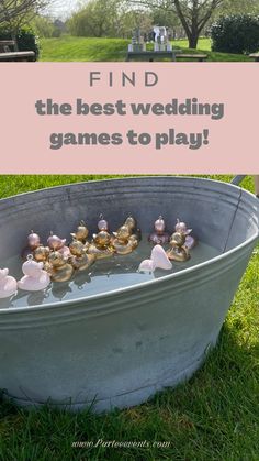 a metal tub filled with lots of small shells in the middle of a grass field