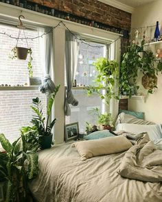 an unmade bed with lots of plants on the windowsill and hanging potted plants