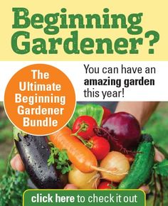 the ultimate gardening guide for beginners is here to check out what's in your garden