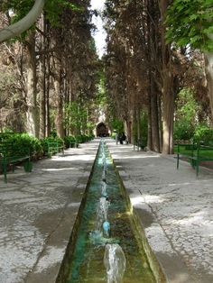 a long water feature in the middle of a park