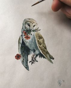 a drawing of an owl with flowers on it's body and eyes, holding a pencil in its left hand