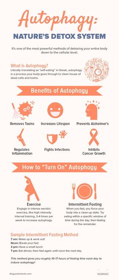 What Is Autophagy, Detox Your Liver, Detox Diet Plan, Detox Plan, Detox Program, Liver Detox, Healthy Liver, Natural Detox, Natural Therapy