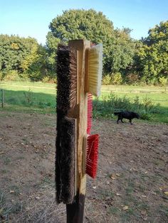 a wooden post with brushes attached to it in the middle of a field next to a black cat