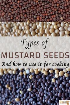 different types of mustard seeds and how to use them for cooking