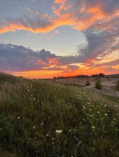 the sun is setting over an open field with wildflowers and grass in it