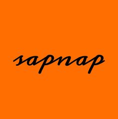 the word sapnap is written in black on an orange background