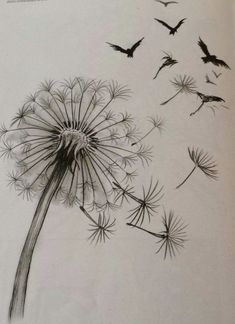 a dandelion drawing with birds flying around it in the air and on top of it