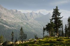 the mountains are covered in green grass and tall pine trees, with rocks on each side