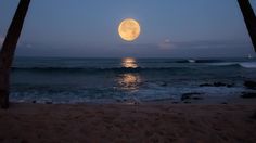 the moon is setting over the ocean with palm trees in front of it and waves crashing on the beach