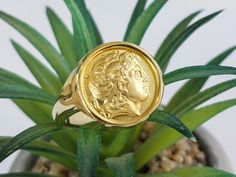 A coin ring of an Alexander the Great coin replica with a tapered shank, handcrafted in solid k14 gold. This elegant gold ring depicts the front of an ancient Greek coin of the Macedonian king, son of Phillip the Second.  The ring is made by skilled jewelers in solid k14 gold ensuring durability and lifetime value, a real heirloom. The coin replica can be worn by both, men and women, as a trendy coin ring or as a meaningful, historical statement piece.  A bold piece of jewelry that will transfor Gold Coin-shaped Engraved Signet Ring, Gold Engraved Coin Signet Ring, Gold Coin-shaped Engraved Ring, Yellow Gold Coin-shaped Hallmarked Rings, Hallmarked Coin Shaped Signet Ring As Gift, Gold Coin-shaped Signet Ring For Gift, Gold Coin Shaped Signet Ring, Gold Coin Signet Ring For Gift, Gold Coin Shaped Signet Ring For Gift