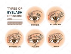 Tipos de ilustración de extensiones de pestañas | Vector Premium Types Of Eyelash Extensions, Eyelash Logo, Perfect Eyelashes, Lash Room, Lashes Logo