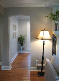 a living room filled with furniture and a lamp on top of a hard wood floor