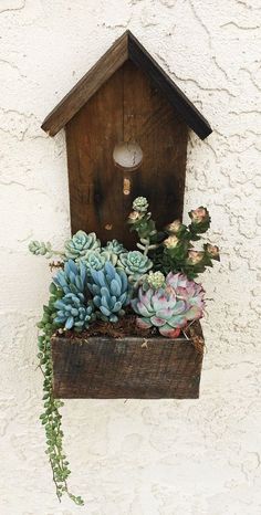 a bird house with succulents and plants in it