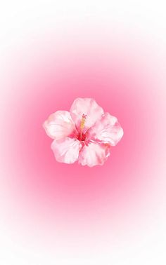 a pink flower is in the middle of a white and pink background with space for text