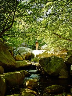 a person standing on rocks in the middle of a stream surrounded by trees and boulders