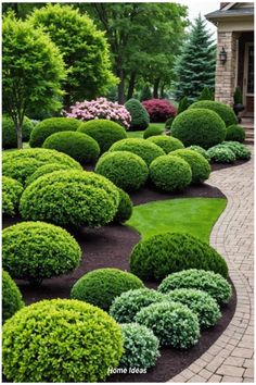 a garden with lots of green bushes and trees in the center, surrounded by brick walkways