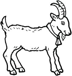 a goat with long horns standing in front of a white background and black outline on the bottom