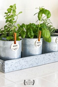 three metal pots with plants in them on a counter top, labeled mints and basil