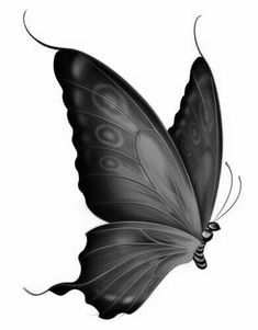 a black and white butterfly flying in the air with its wings spread out to look like it