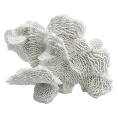 some white sponges on a white background