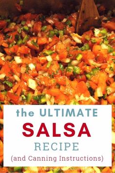 the ultimate salsa recipe and canning instructions for all kinds of vegetables, including carrots