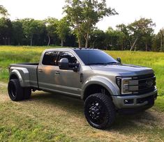 a silver truck parked on top of a grass covered field in front of some trees