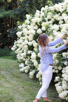 a woman standing next to a bush of white flowers