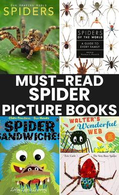 four books with pictures of different types of animals and insects on them, including the title must read spider picture books