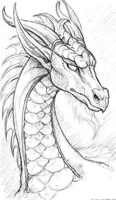 a drawing of a dragon's head with its eyes closed and the tail curled up