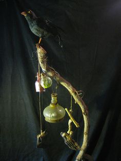 a bird perched on top of a wooden branch next to an old fashioned light bulb