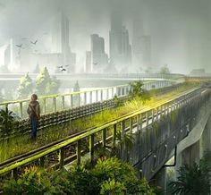 a man standing on top of a lush green hillside next to a bridge with birds flying over it