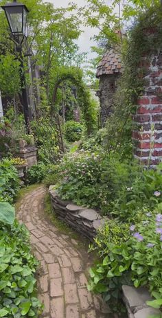 a stone path in the middle of a garden with flowers and plants growing around it