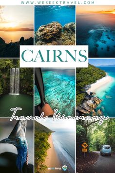 CAIRNS ITINERARY 5 DAYS Cairns Itinerary, Daintree Rainforest, Fraser Island, Australian Travel, Adventure Inspiration, Itinerary Planning, North Queensland, Resort Pools, Tropical Escape