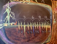 a chalk board with numbers and plants on it