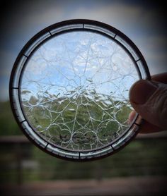 a hand holding up a round glass window with the reflection of trees and sky in it