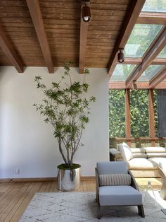 a living room filled with furniture and a tree in the middle of it's wall