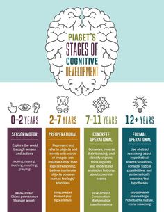 an info sheet describing the stages of creative development