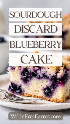 sourdough discard blueberry coffee cake Sourdough Blueberry Buckle, Sourdough Discard Coffee Cake, Sourdough Coffee Cake Recipe