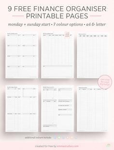 5 opções de planner financeiro grátis para imprimir | Quase Mineira Goodnotes Financial Planner, Free Finance Planner, Budget Pdf Free, Finance Planner Printable Free, Goodnotes Budget Template Free, Financial Planner Printables Free, Budget Planner Printable Free, Financial Planner Printables, Faire Son Budget