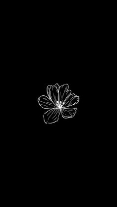 a white flower on a black background