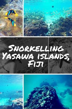 several different pictures with the words snorkeling yasawa islands, fiji